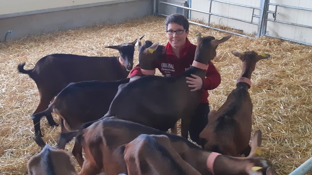 Myrtille et Compagnie