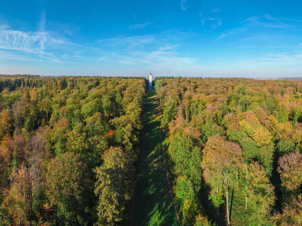 La forêt de Retz, un voyage au cœur de la nature