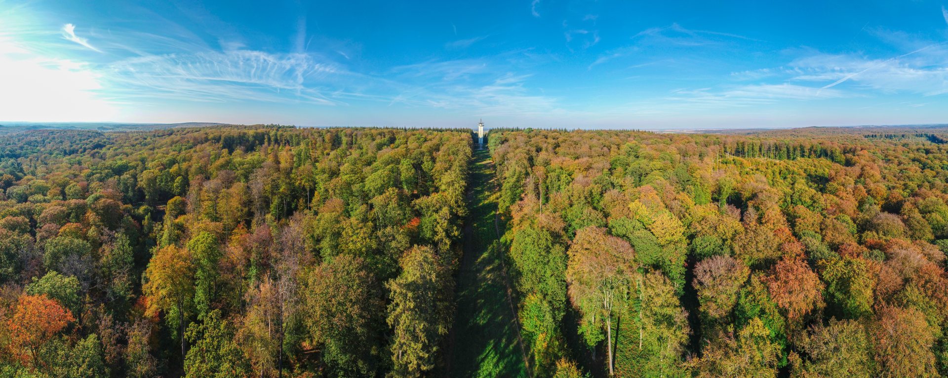 La forêt de Retz, un voyage au cœur de la nature