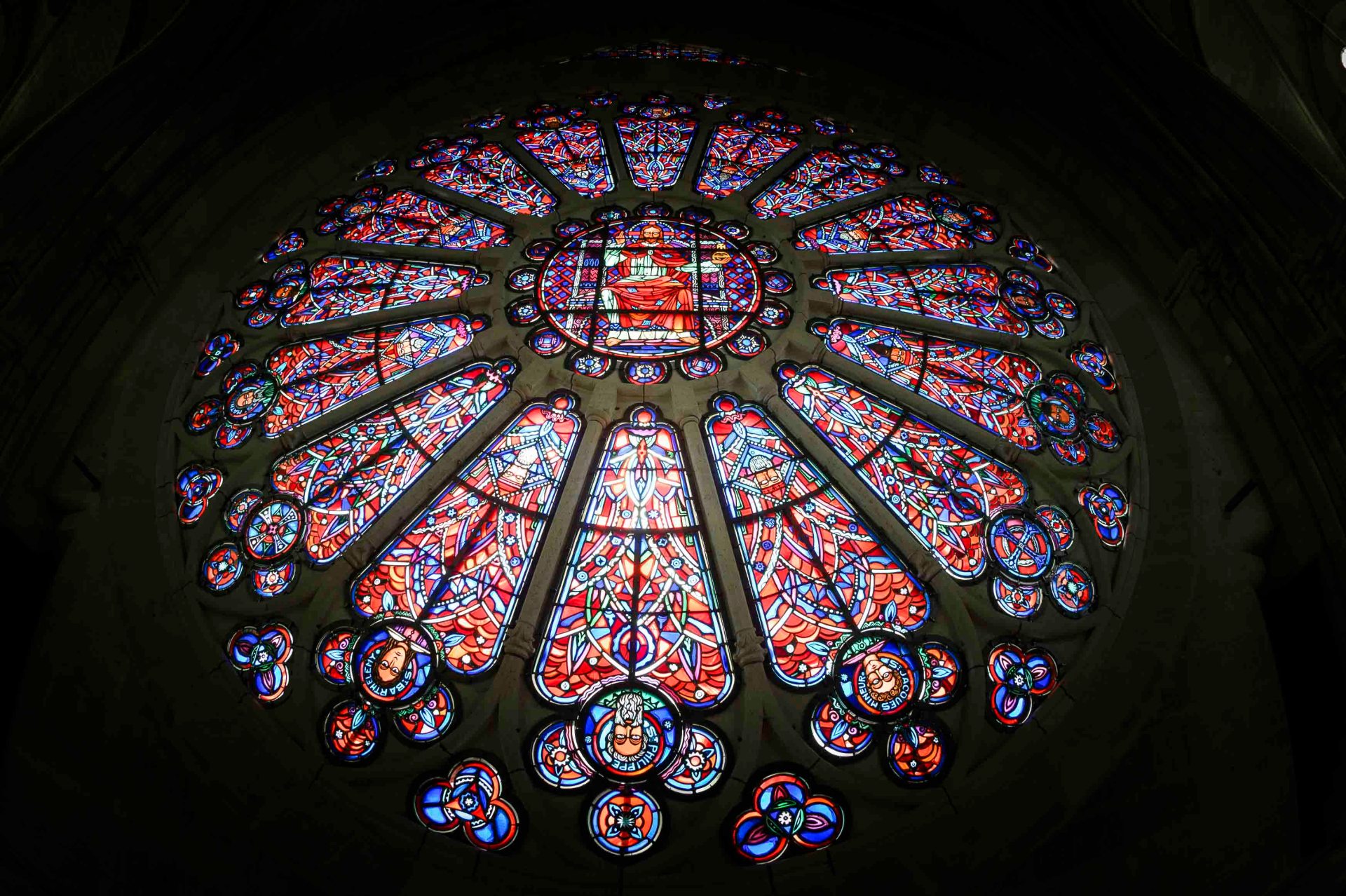 La rose de la cathédrale