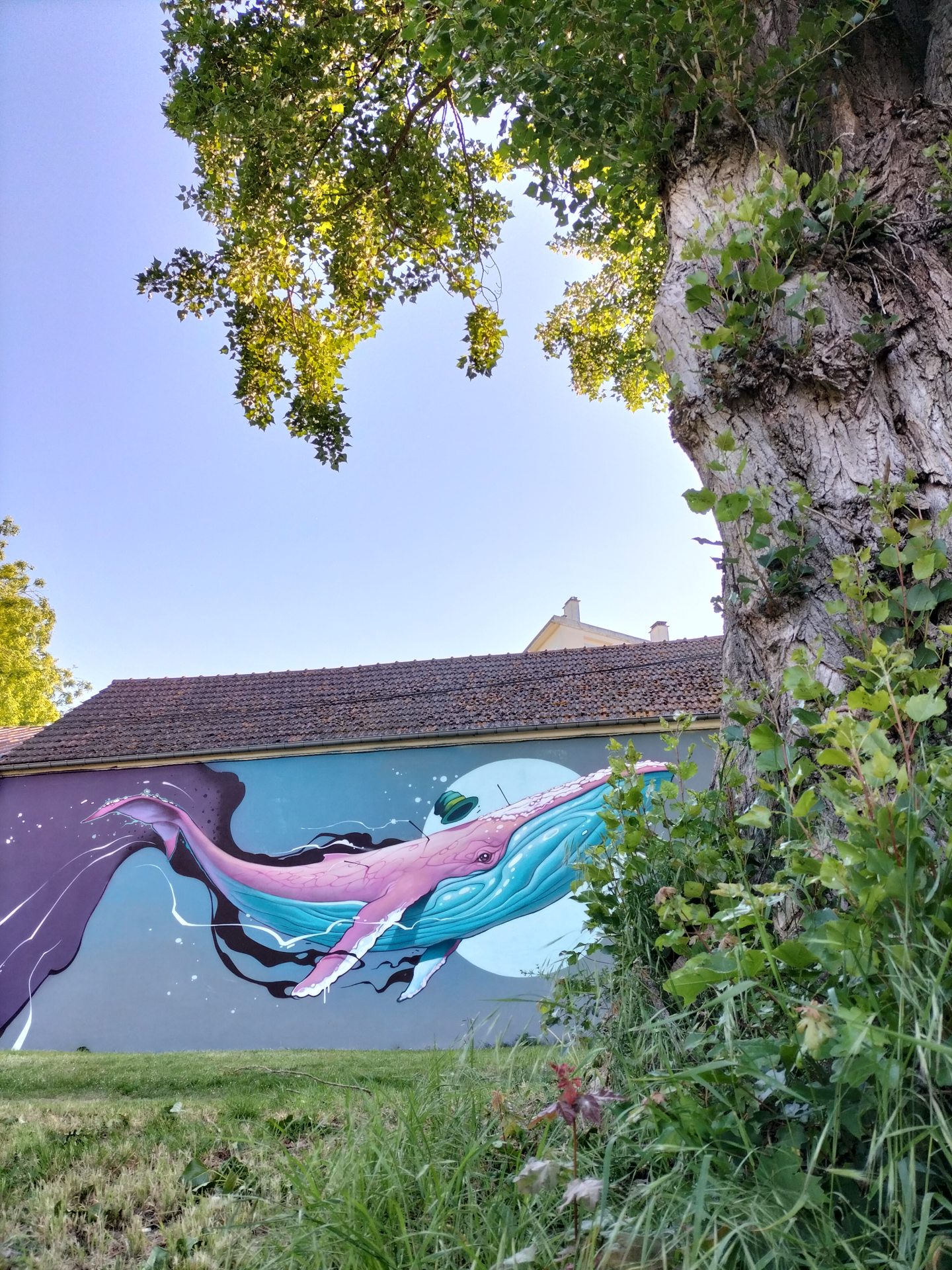 Street-art, la baleine de Kalouf à Soissons