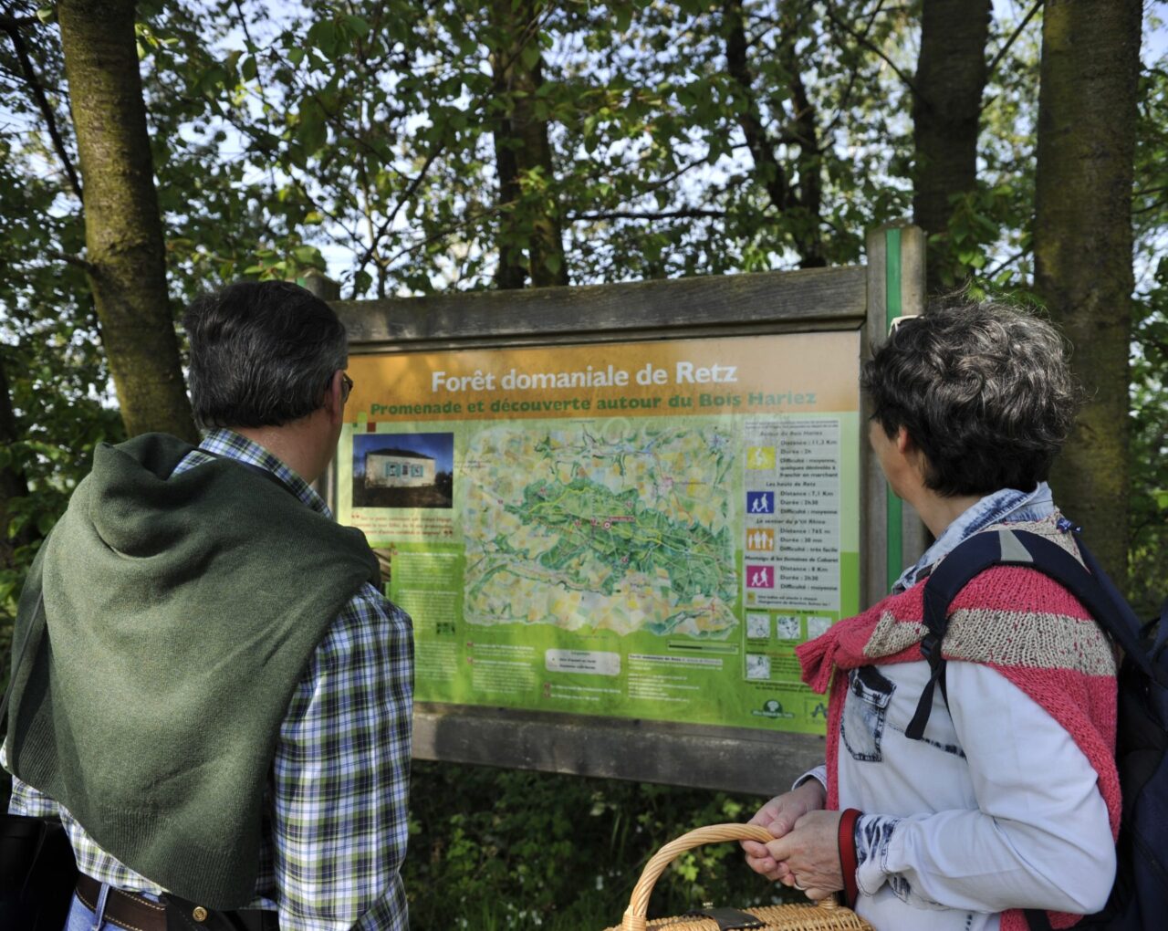 La forêt de Retz, un voyage au cœur de la nature