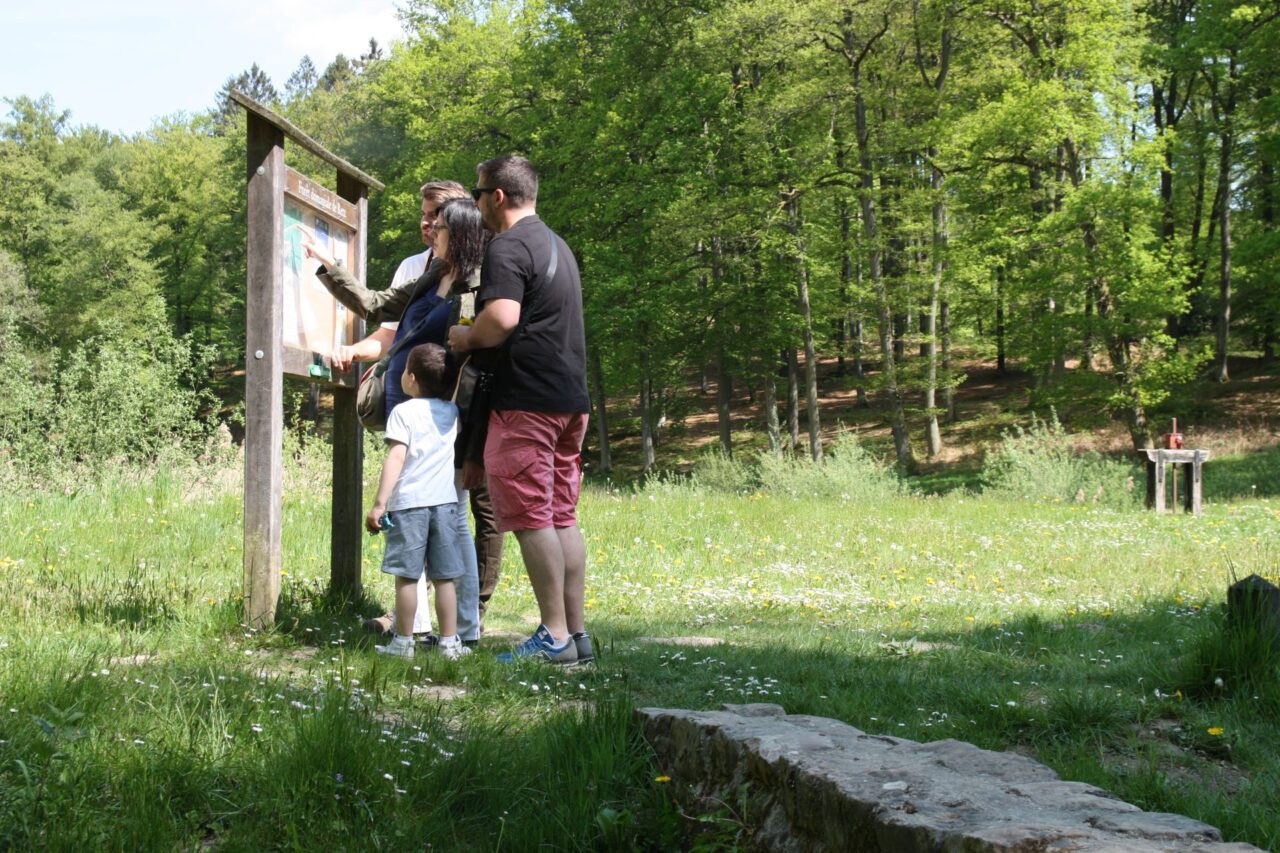 Balades et randonnées - La forêt de Retz, un voyage au cœur de la nature
