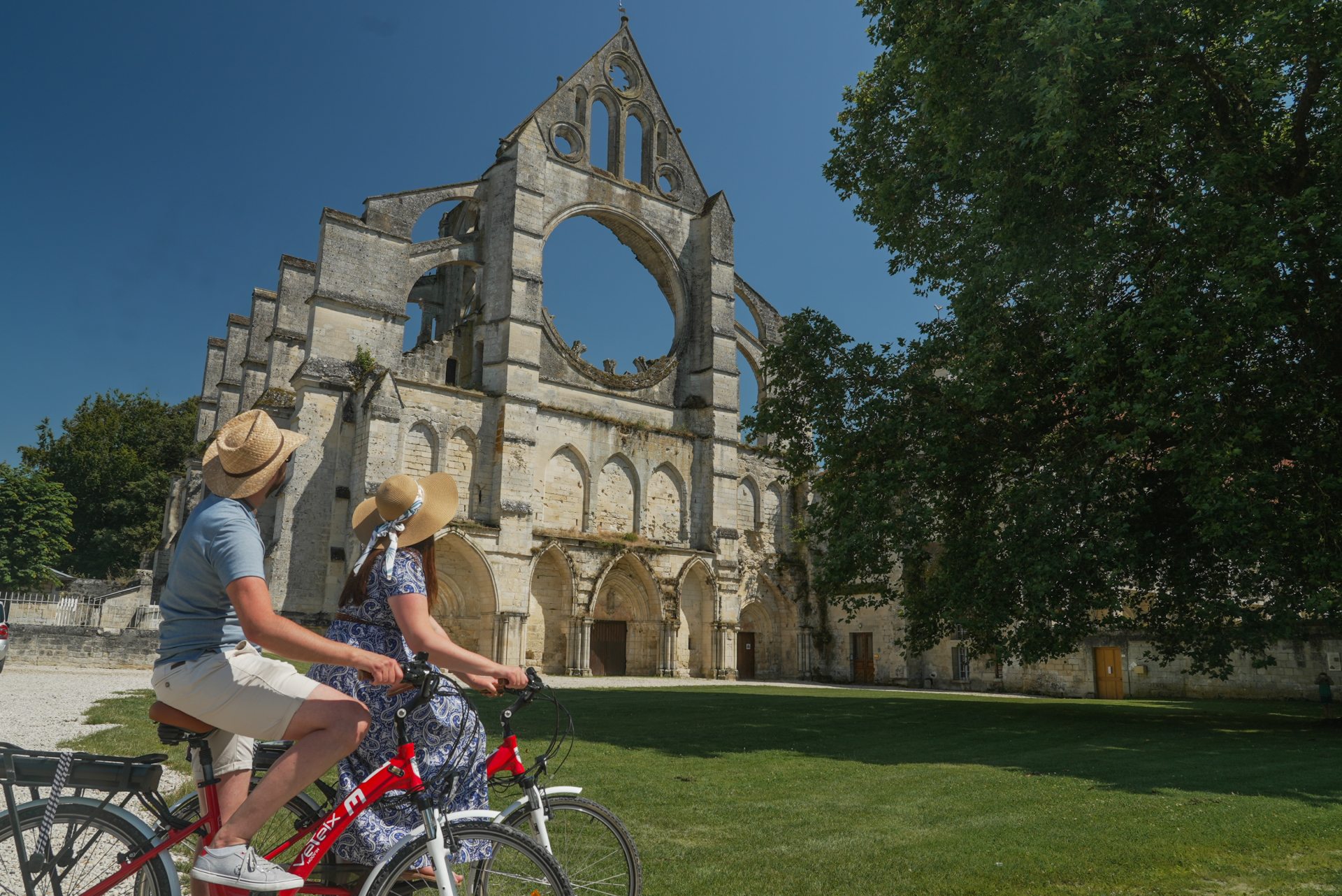 Locations de vélos