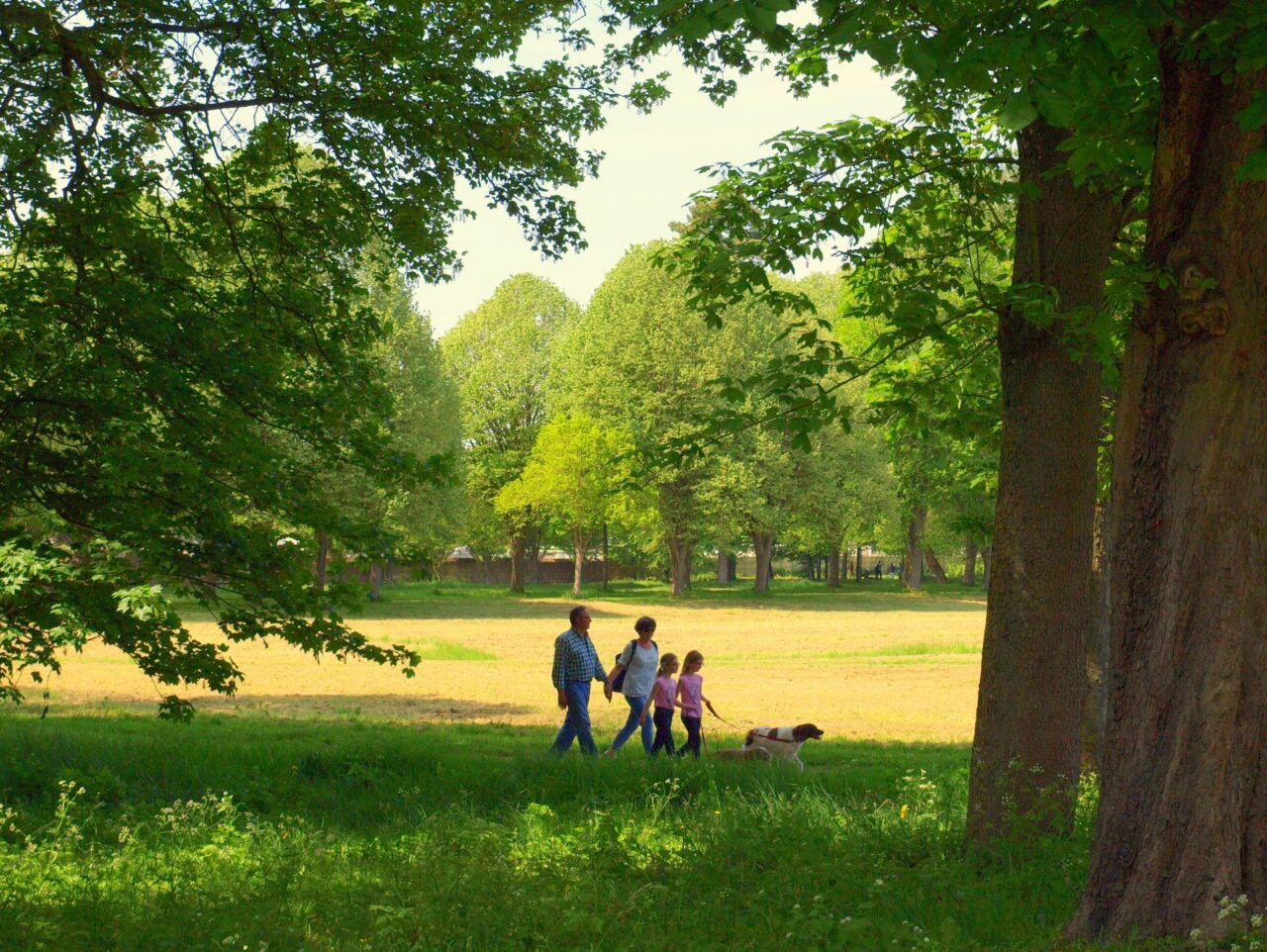 Escapade ludique au pays des mots à Villers-Cotterêts