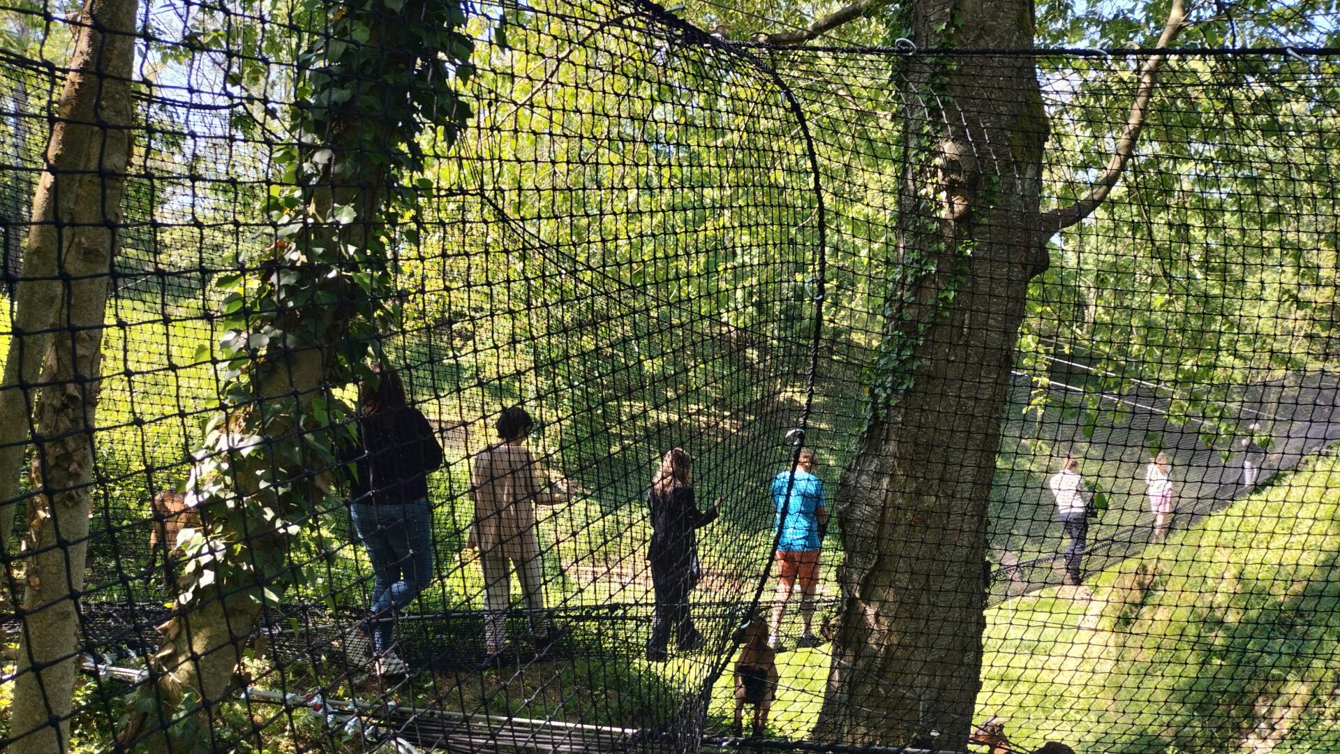 Retrouvez le vase de Soissons et sauvez le fort en famille - Les Filets des sentinelles au fort de Condé < Chivres-Val