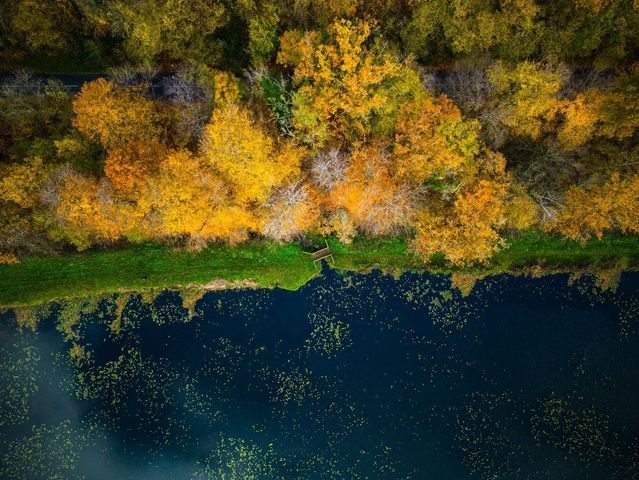 La forêt de Retz, un voyage au cœur de la nature