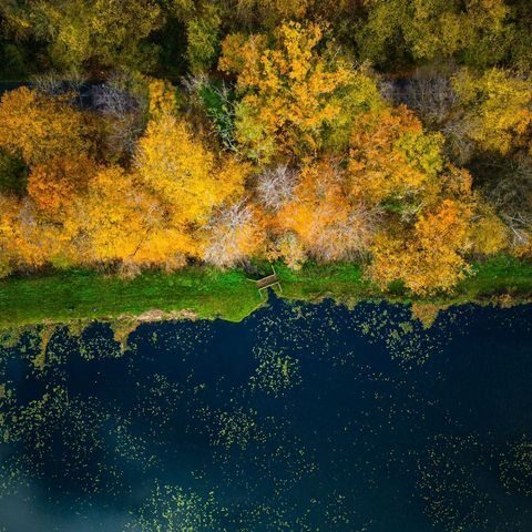 La forêt de Retz, un voyage au cœur de la nature
