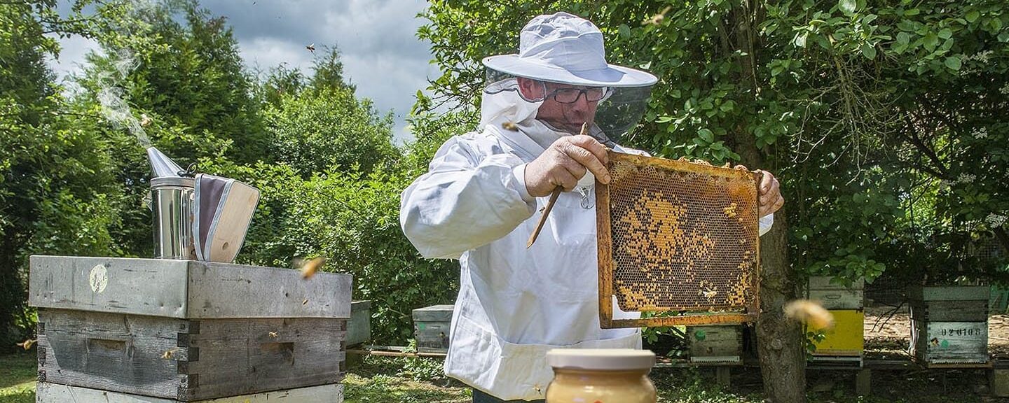 Les sorties de l'Office de tourisme 2026