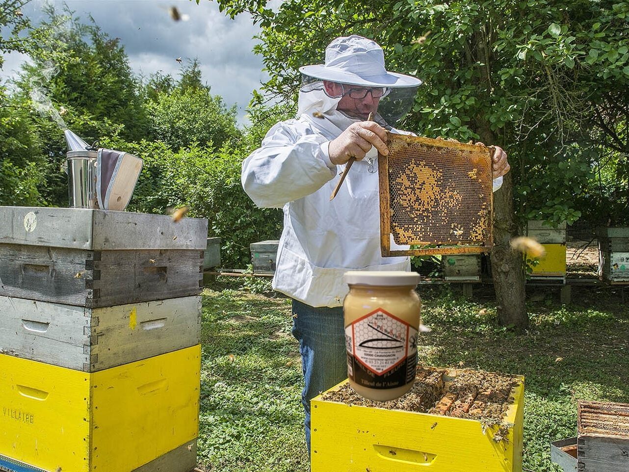 Les sorties de l'Office de tourisme 2026