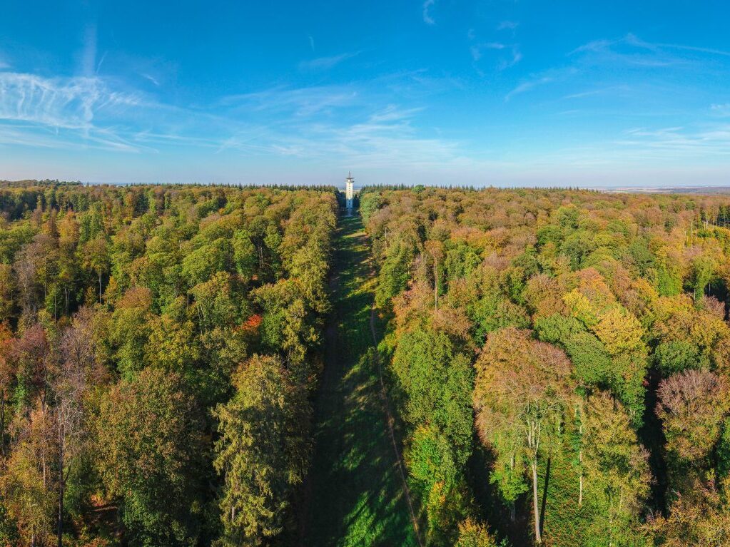 La forêt de Retz, un voyage au cœur de la nature