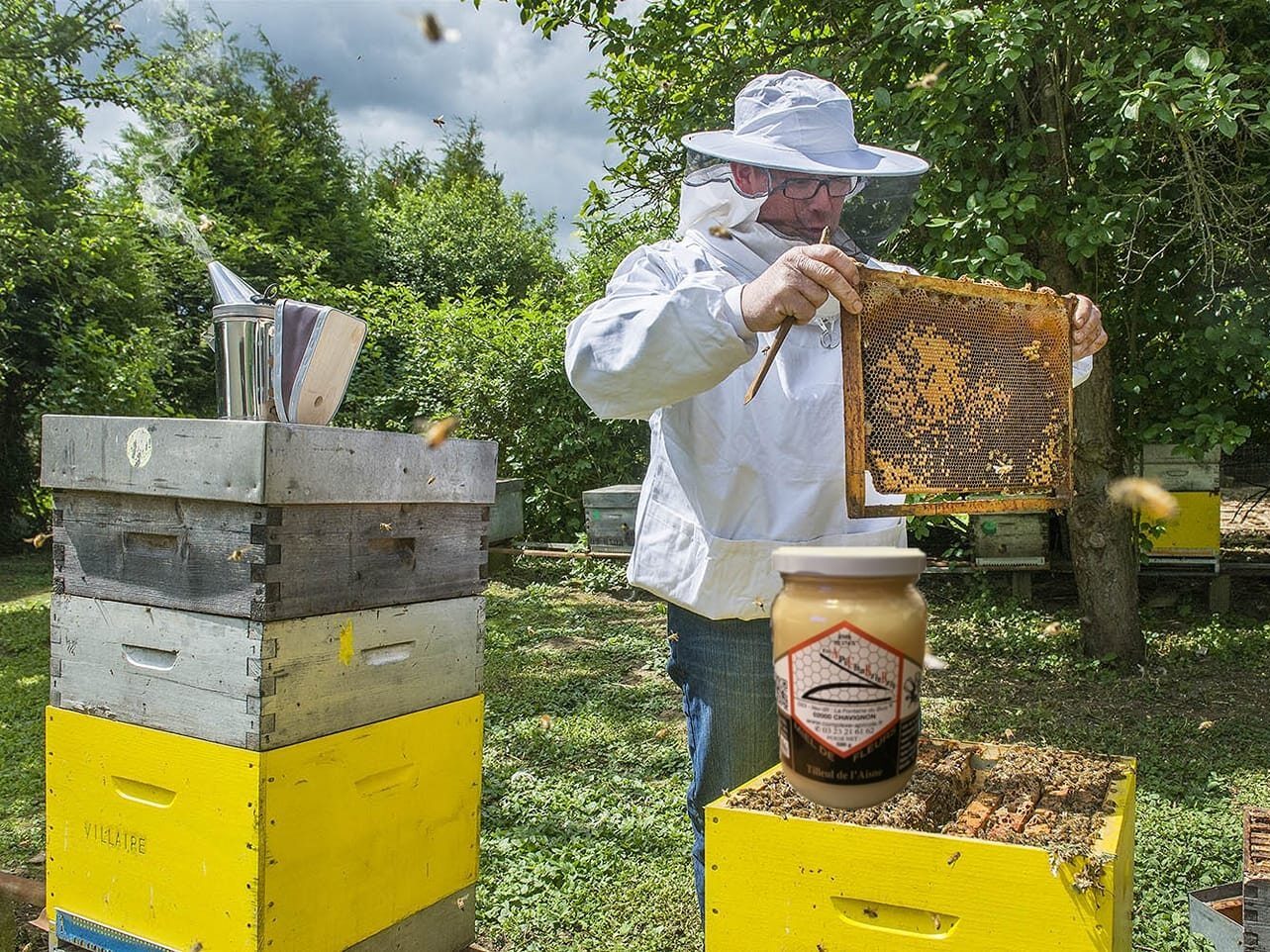 Lumières d’abeilles
