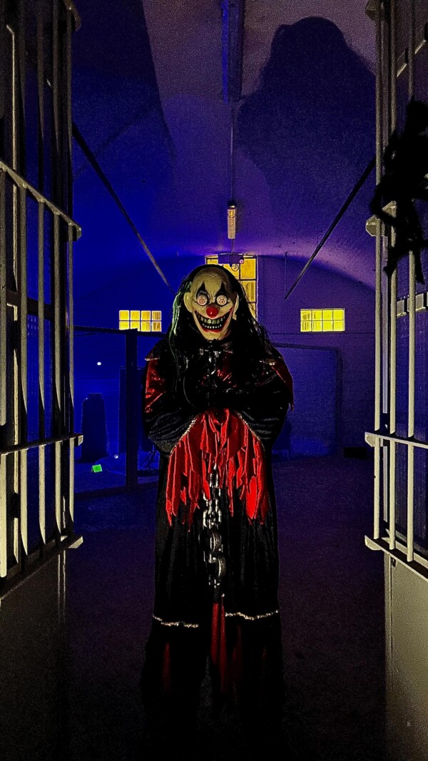 Revenus vivants, mais avec grande...