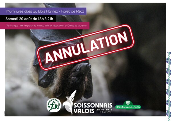 La sortie Murmures ailés au Bois...