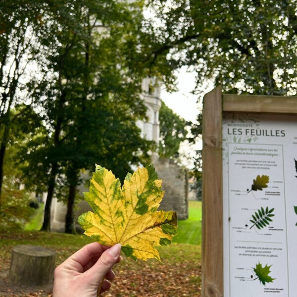 🍂Lautomne sinvite dans le...