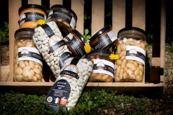 🌏Cest la journée mondiale de la...