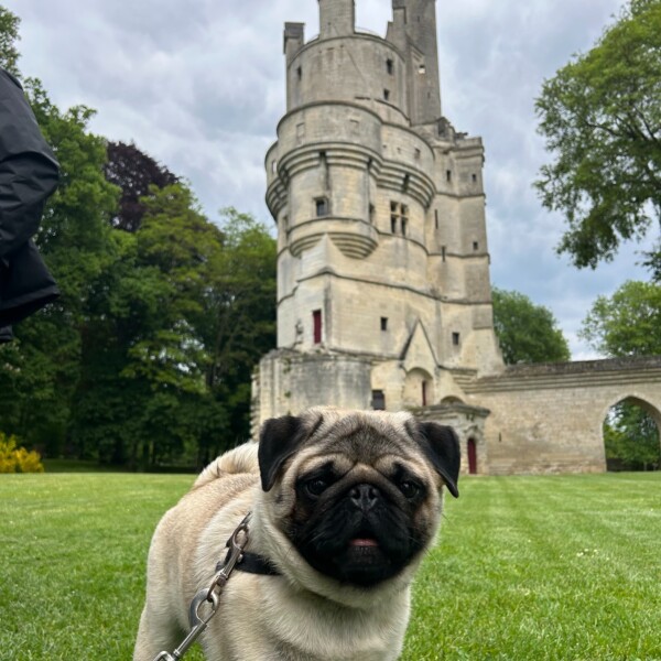 🐶🤩Une rencontre toute mignone...