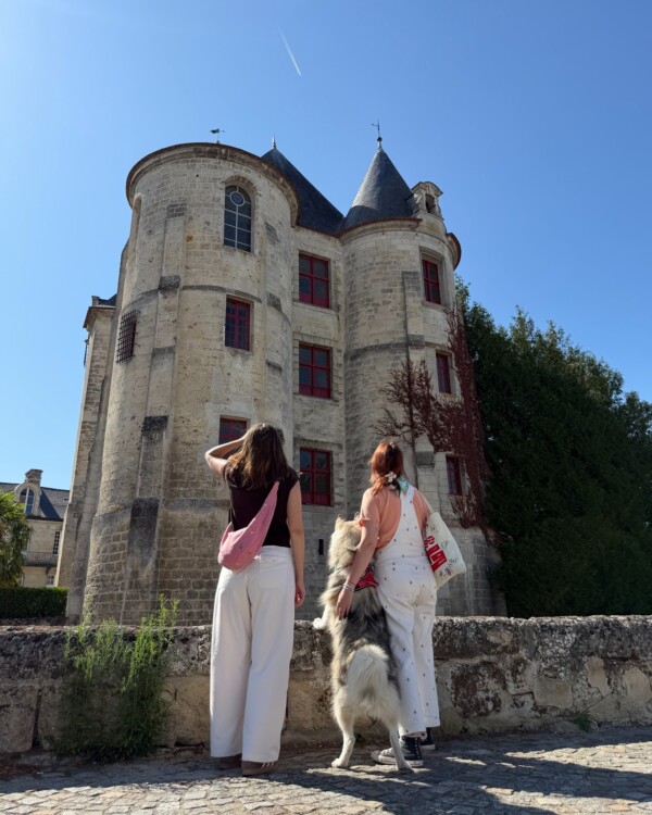 Donjon de Vic-sur-Aisne...