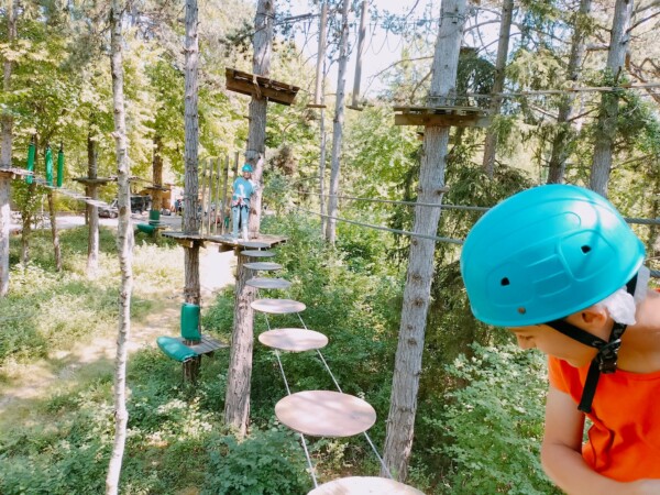 🌳✨ Et si votre prochaine aventure...