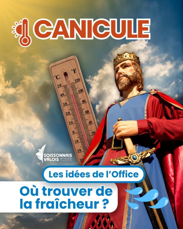 ☀️🌳 CANICULE : nos idées pour...