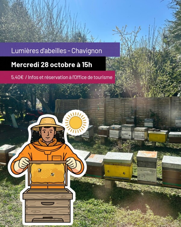 🐝 Et si les abeilles illuminaient...