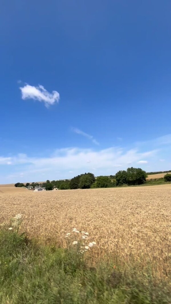 Grande nouveauté 2026, lÉcole du...