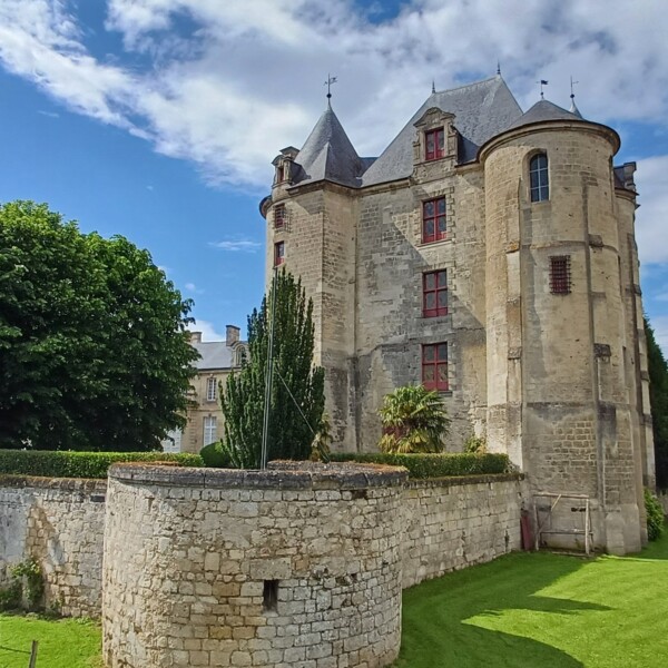 🏰🌿Poussez les portes du donjon de...