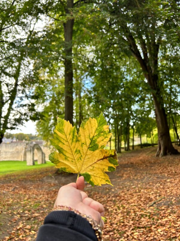 🍂

#Automne #SoissonnaisValois...