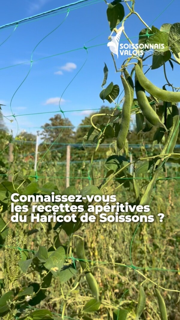 🥜 À 2 jours de la Fête du Haricot,...