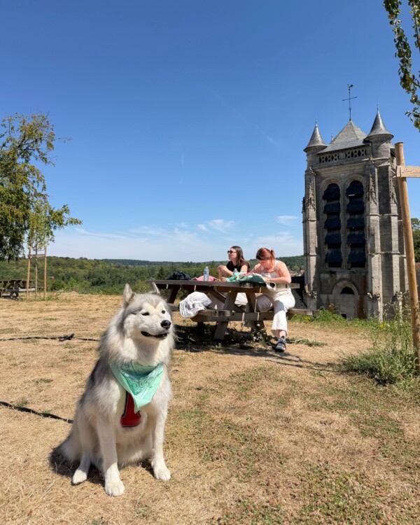 Découvrez la féérie de la Ferté...
