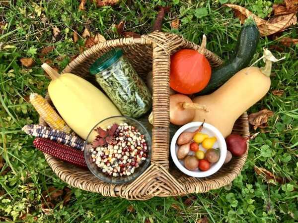 Venez vivre une expérience de partage...