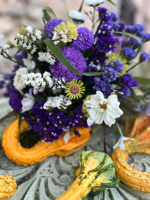 🌸🌼Profitez dune découverte...